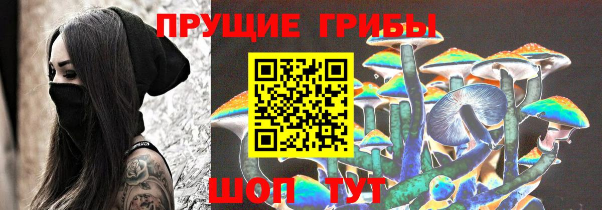 Галлюциногенные грибы Magic Shrooms  Псилоцибиновые грибы мицелий  Вход с VPN  Тихорецк 